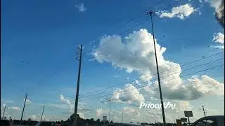 Bugs Flying Everywhere #reels #shorts #insects #slowmotion #viral #bees #wasp #flies #mosquitoes