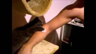 Kung-Fu Louie