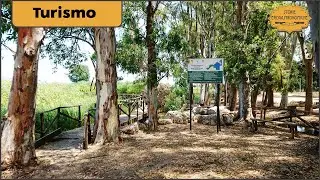 La mitologica fonte del fiume Ciane, Siracusa