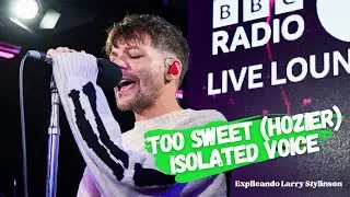 Louis Tomlinson's voice isolated on 