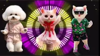 Videos_for_catsv#funnycats_#dancingcat_#catlovers__@furry-cornerz #catlover #babulalshortsofficial