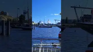 Havengeburtstag или День рождение Порта Гамбурга🛳⛵ #Hamburg#festival#germany