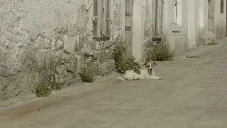 Milivoje Pićurić: Vals (Šavnik tema) / Igor Pejović • Marija Mitrović • Aleksandra Trifunović