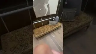 Elevator fan