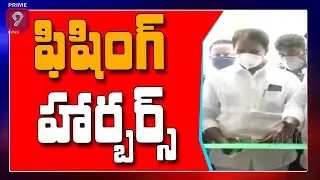 AP Govt to Build 8 Major Fishing Harbour & 4 Fish Landing Center : Minister Mopidevi | Prime9 News