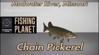 Chain Pickerel Mudwater River Missouri Fishing Planet Guide