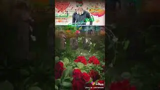 SN Raj
