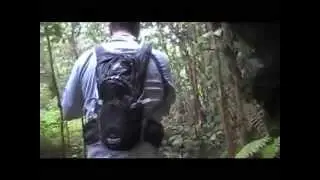 Waimano Trail
