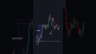 The Best Forex Trading Tips for Beginners