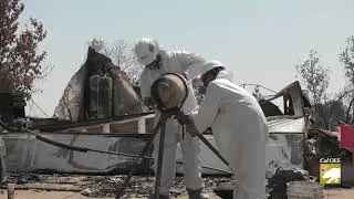 Carr Fire Cleanup Begins