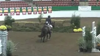 Caramo and Harold Chopping WIN $10k USHJA Hunter Derby Duke Childrens Classic 06Nov15
