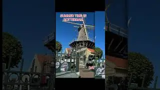 Summer in Rotterdam