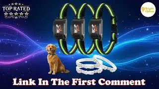 Ultimate GPS Wireless Dog Fence Training Collar No Subscription 3280ft