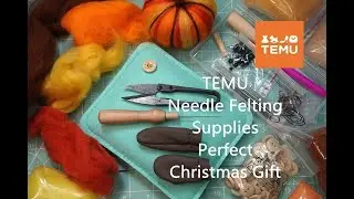 Temu Christmas Gift Idea/Needle Felting Supplies/Felting Starter Kit/Temu Craft Kit/Making a Pumpkin