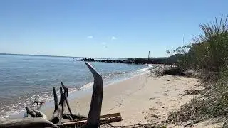 Scientist Cliffs Beach, Port Republic MD (12 min) #asmrbeach #calvertcountymd #portrepublicmd