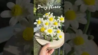 Pipe Cleaner Daisy Flower | DIY Dancing Daisy