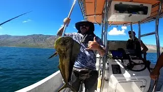 Bahía de Los Ángeles #bajacalifornia #mexico #fishing