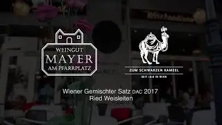 Zum Schwarzen Kameel x Mayer am Pfarrplatz