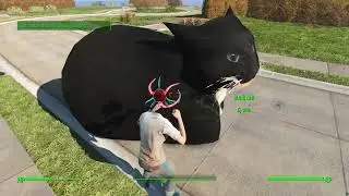 Fallout 4 Driveables of the Commonwealth - Havok Physics