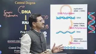 Molecular Basis of Inheritance  | 12 Biology | Central Dogma | Dr. Shankar Laware