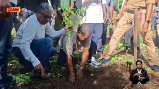 Sekretáriu Estadu Floresta Selebra Loron Nasionál Ai-kameli no Floresta ba Da-9