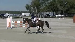Anna Kjellstrom & Run Marvin Run OP SJ