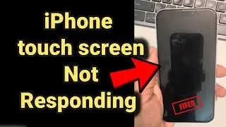 iPhone touch screen not responding : how to fix