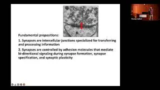 CTSI Distinguished Speaker Series | Thomas Sudhof