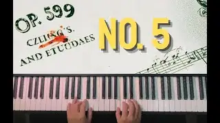 Czerny Op. 599 No. 5 | Beginner Piano Practice (Hands + Sheet)