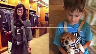 dog carrier for small dogs