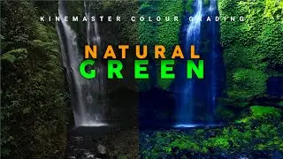 Natural Green Colour Grading | Kinemaster Editing | Kinemaster Tutorial | One Techee