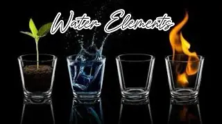 Water 🌊 Element Reading ✨ Scorpio ♏️ Pisces ♓️ and Cancer ♋️ 