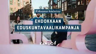 Ehdokkaan eduskuntavaalikampanja
