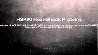 Medical vocabulary: What does HSP90 Heat-Shock Proteins mean