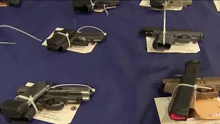 Trafficking Ring Moved Nearly 300 Guns From Ga. to Philly, Prosecutors Say