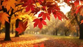 Autumn Leaves Falling