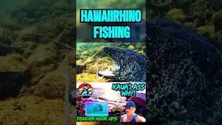 Монстр с Кауаи разгромил мой Халалу! 🎣👀🫣 #fishcam #hawaiirhinofishing #fishing