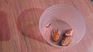 Вечерний обзор 