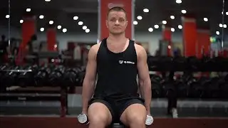 Сгибание рук на бицепс сидя на скамье 