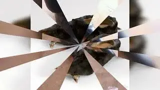 Бархатные тяги #эдит  #мешап #shorts #minecraft #meme  #short #gaming #cooking #edit  #shortvideo