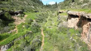 נחל חלילים