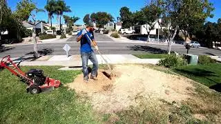 Tree Stump Removal with a Stump Grinder