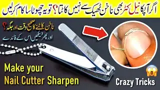 5 GENIUS Nail Clipper Tricks 😱 NAIL CUTTER make Sharpen,  Nail Cutter REPAIR in Urdu/Hindi