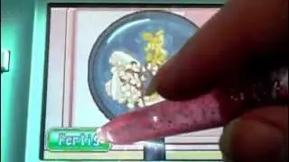 Cooking Mama 2 - Bamboo steamed rice 100%