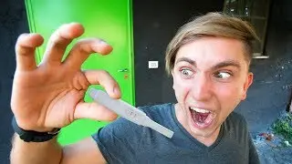 DIVENTARE PAP&Agrave; (no clickbait) - Cane Secco