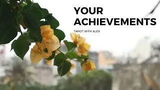 Liệu sự nỗ lực này sẽ mang lại thành quả? Và khi nào ? - timeless | tarot