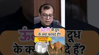 ऊंटनी के दूध के फायदे।🤪🤪 #iasinterview #iaspreparation #GYANKIRAFTAAR