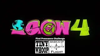 IGOW4 - Week 1 - Tiny Whoop - Basics of Flight