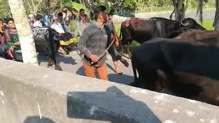 বাবা শামপুরী ওরস