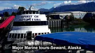 Kenai Fiords 6 hour glacier tour with Major Marine tours 2020